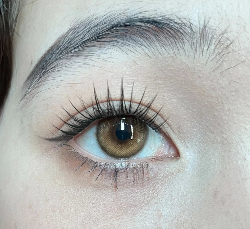 FRESHLADY SKYLARK DREAM (BROWN) COSMETIC COLORED CONTACT LENSES (FA36-1) - EyeQ Boutique