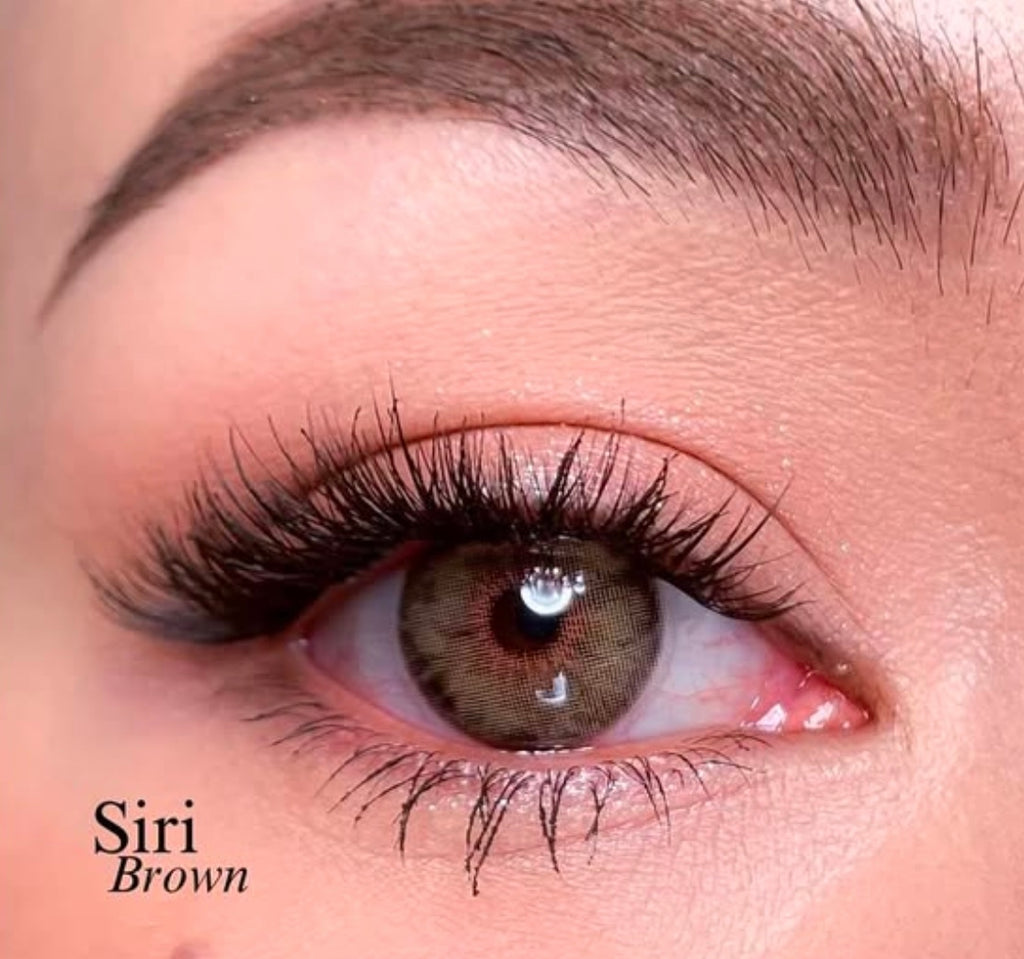 FRESHLADY SIRI BROWN COSMETIC COLORED CONTACT LENSES Mi20-1 - EyeQ Boutique