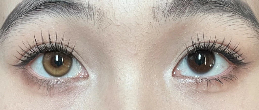 FRESHLADY SKYLARK DREAM (BROWN) COSMETIC COLORED CONTACT LENSES (FA36-1) - EyeQ Boutique