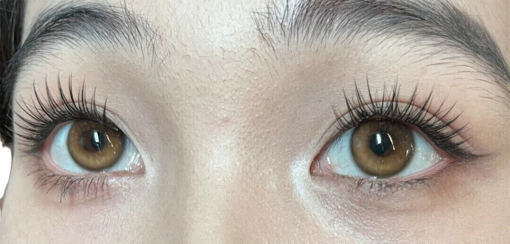 FRESHLADY SKYLARK DREAM (BROWN) COSMETIC COLORED CONTACT LENSES (FA36-1) - EyeQ Boutique