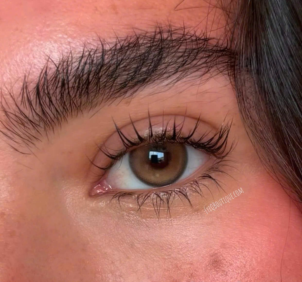 FRESHLADY SKYLARK DREAM (BROWN) COSMETIC COLORED CONTACT LENSES (FA36-1) - EyeQ Boutique