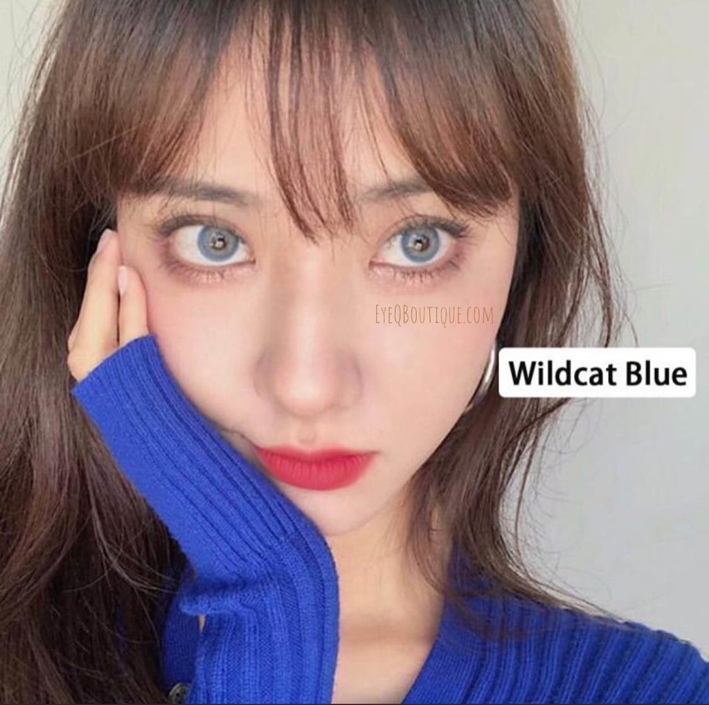 FRESHLADY WILDCAT BLUE COLORED CONTACT LENSES COSMETIC FREE SHIPPING - EyeQ Boutique